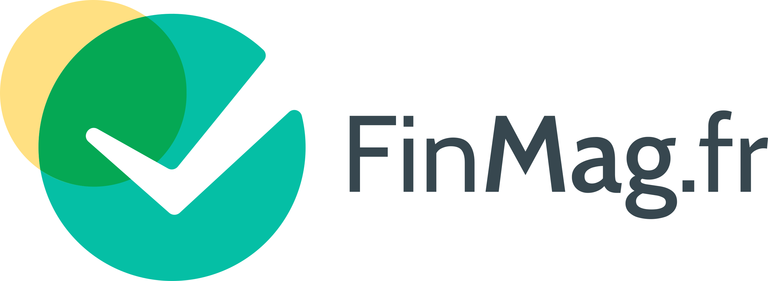 Finmag